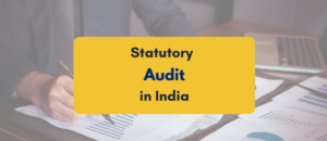 statutory audit in India - PKC