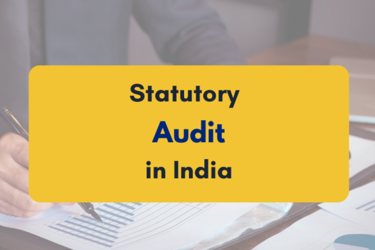 statutory audit in India - PKC