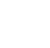 auditors