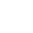 auditors