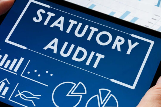 Statutory audit services