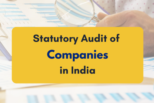 statutory audit of companies - PKC