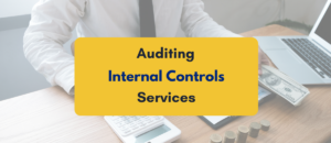 Auditing internal control services- PKC