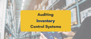 Auditing Inventory Control Systems - PKC