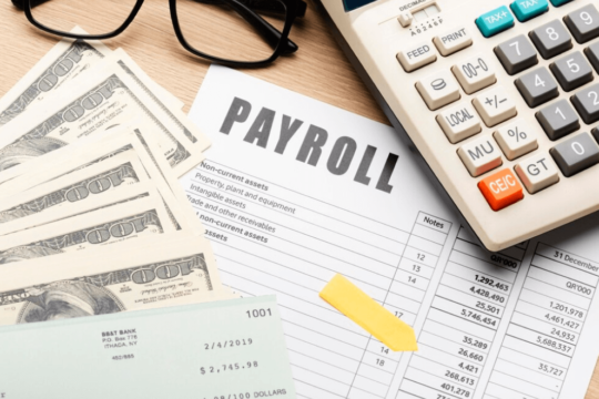 Auditing Payroll Processes