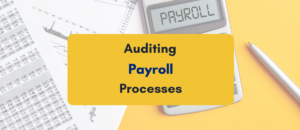 auditing payroll processes - PKC