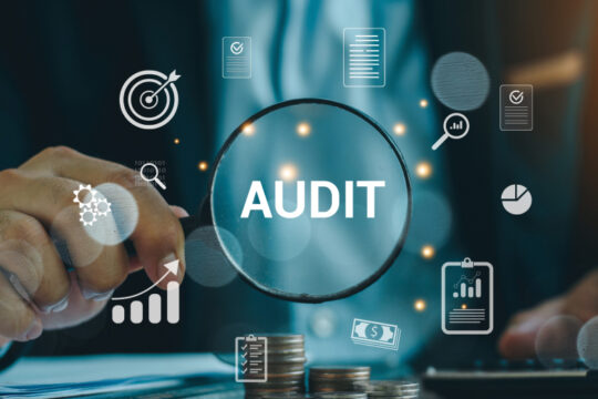 Statutory Audit Services for Mid Size Companies