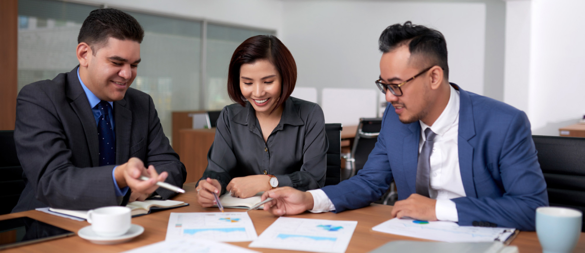 Statutory Audit Services for HUF