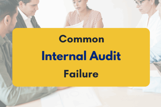 Common Internal Audit Failures in India - PKC