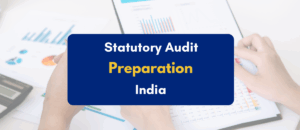 Statutory Audit Preparation India - PKC