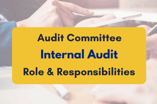 role of audit committee in internal audit- PKC